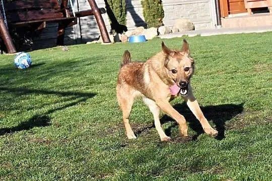 Kocham ludzi i świat pokochaj mnie i Ty daj mi cudowny domek, , Bydgoszcz