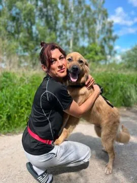 Yuki - młodziutka, przyjazna sunia szuka domu!  Yuki- pies z sercem na łapie! Yuki to najcudowniejsz, , Warszawa