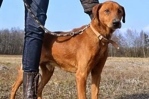 Moris ma swoje latka - kto podaruje mu bezpieczny 