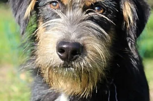 Piorun.Każda sekunda z Tobą jest najpiękniejsza! ,