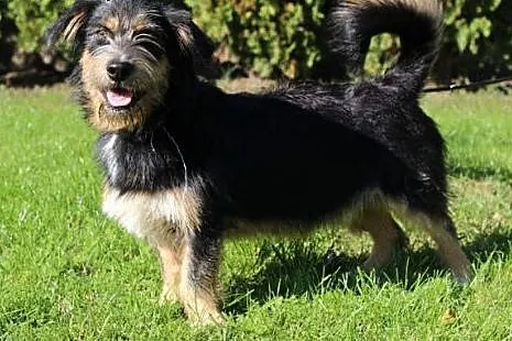 Piorun.Każda sekunda z Tobą jest najpiękniejsza! ,