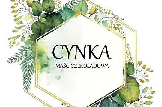 Labrador retriever piesek pieski mały czekoladowy brązowa suczka Cynka, Dolnośląskie, Legnickie Pole