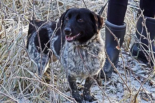 Młoda, nakolankowa Sara, typowy kanapowiec do poko
