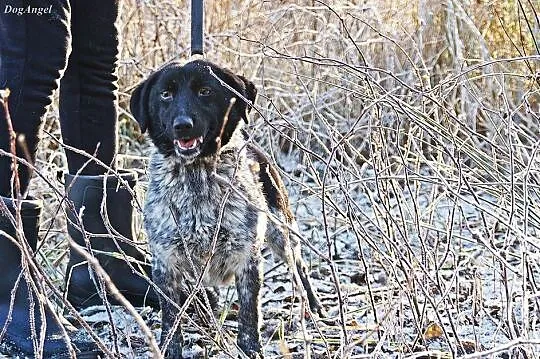 Młoda, nakolankowa Sara, typowy kanapowiec do poko