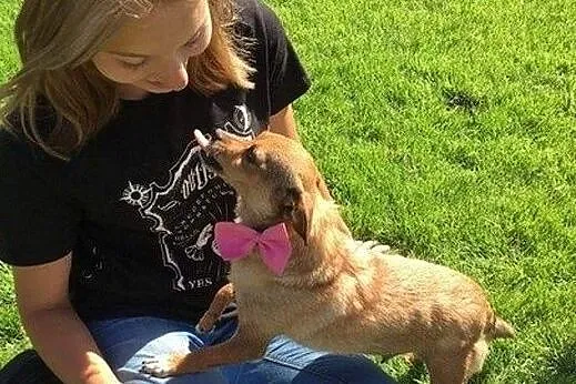 Mikrosunia Żabcia, cudowna, przytulaśna do adopcji!, Mazowieckie, Warszawa