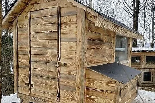 Kurnik, Podkarpackie, Bircza