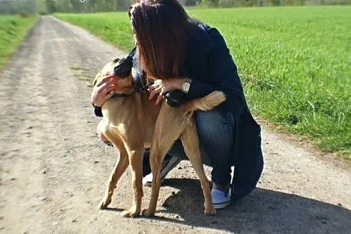 Azorek - przyjaciel na całe życie... Adoptujesz?, 