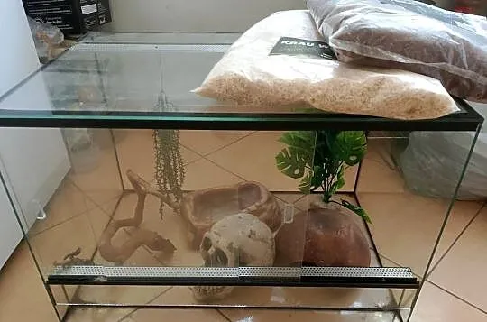 Terrarium dla węża, Świętokrzyskie, Końskie