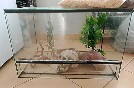 Terrarium dla węża, Świętokrzyskie, Końskie