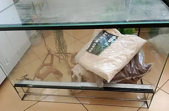 Terrarium dla węża, Świętokrzyskie, Końskie