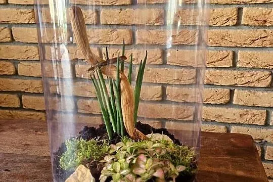 Terrarium z wentylacją - tuba hodowlana 21x35cm - dwie sztuki jedna wysyłka, Śląskie, Mysłowice