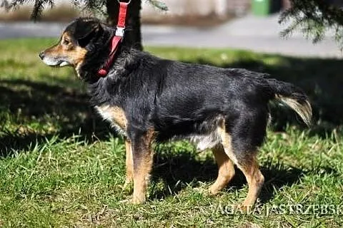 Niezły Bajzel! :),  warmińsko-mazurskie Olsztyn