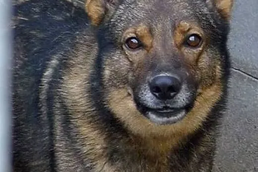 Aleks marzy o domku gdzie będzie szczęśliwy i koch