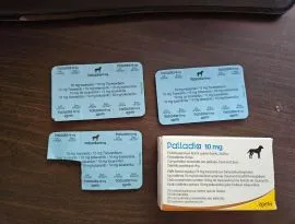 Palladia 10 mg  14 tabletek data ważności 09 2027 dla psa lub kota w oryginalnym pudełku z ulotka.