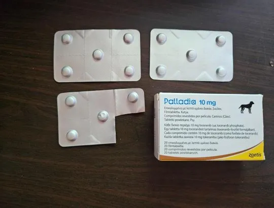 Palladia 10 mg  14 tabletek data ważności 09 2027 dla psa lub kota w oryginalnym pudełku z ulotka., , Grodzisk Mazowiecki