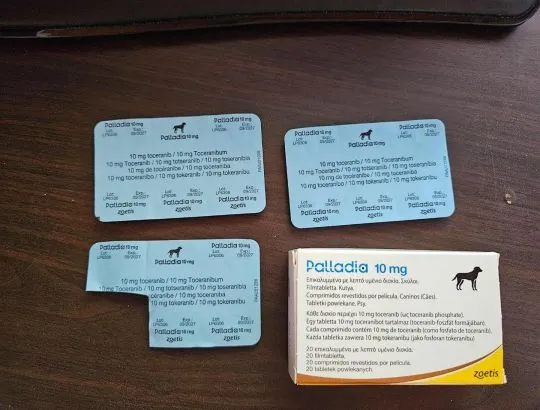 Palladia 10 mg  14 tabletek data ważności 09 2027 dla psa lub kota w oryginalnym pudełku z ulotka., , Grodzisk Mazowiecki