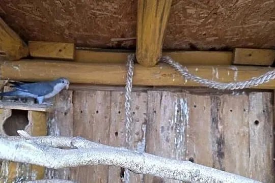 Mnicha nizinna Para Legowa, Wielkopolskie, Sulmierzyce