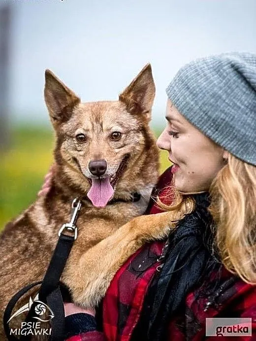 Może sprawi to właśnie NOVA - szczęśliwe życie za