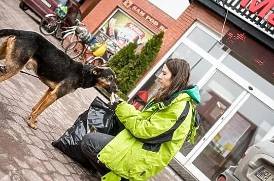 KRUKI - piesek mądry, nietuzinkowy, na Twoją miłość gotowy!, Świętokrzyskie, Kielce