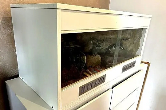 TERRARIUM 100x50x50 Żółw Jaszczurka Gekon Agama Legwan Wyposażenie Szafka, Podlaskie, Białystok