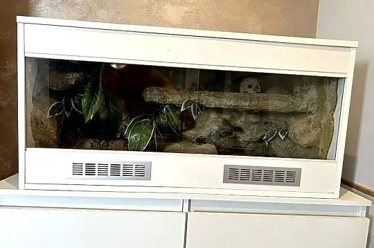 TERRARIUM 100x50x50 Żółw Jaszczurka Gekon Agama Legwan Wyposażenie Szafka, Podlaskie, Białystok