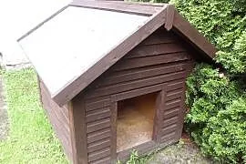 Buda XXL:Husky, wilczur, lablador