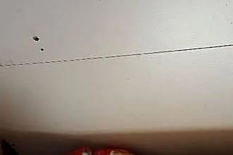 Sprzedam papugi, Lubelskie, Tarzymiechy Trzecie