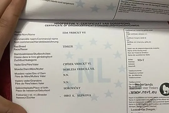 Eda Vrbicky VII, , 