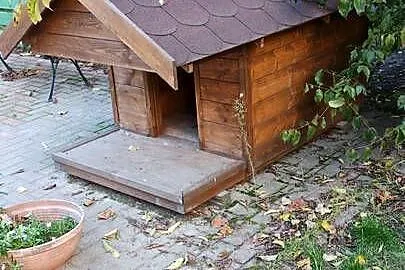 Buda dla psa, Lubelskie, Biadaczka