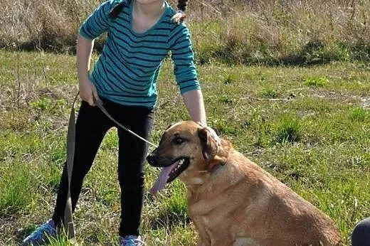 Kania czeka na ratunek w bardzo ubogim Przytulisku