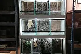 Regał terraria terrarium ptaszniki oświetlenie, Jabłonna