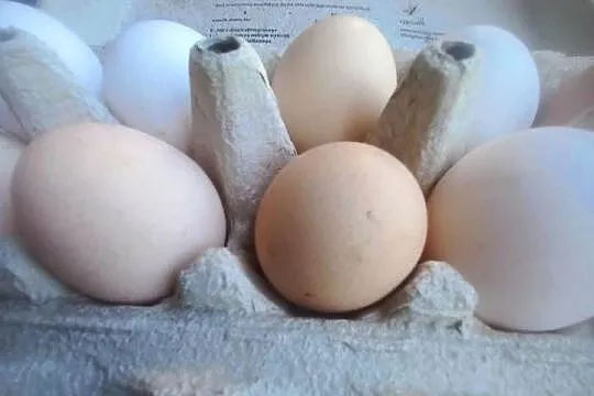 Jaja kurze - wiejskie, Świętokrzyskie, Duraczów
