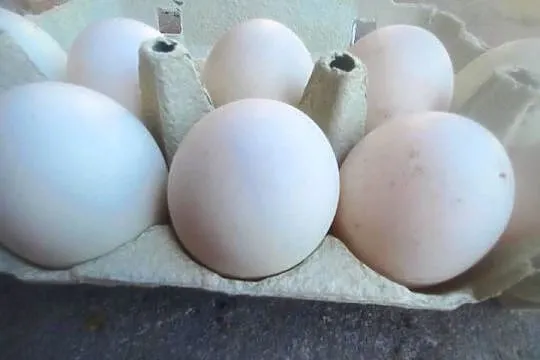 Jaja kurze - wiejskie, Świętokrzyskie, Duraczów
