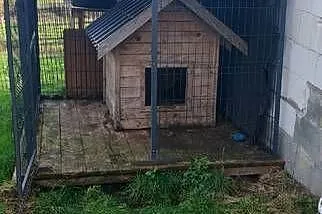 Kojec z budą na dużego psa, Podkarpackie, Dębica