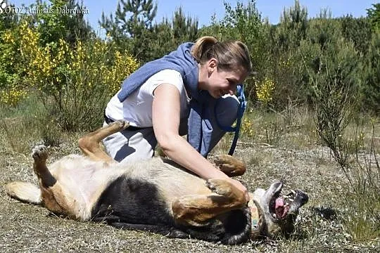 Tofik - czy niewidomy psiak może być szczęśliwy ?, , Luzino