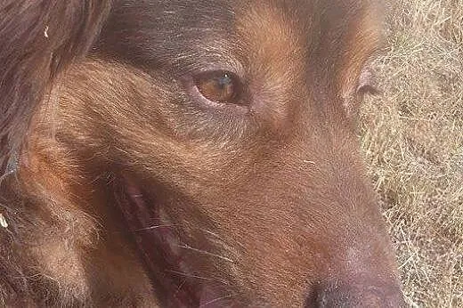 Grubcio marzy o kochającym i odpowiedzialnym domku