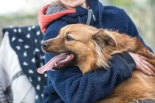Młody Bursztynek czeka na ludzi z pasją,  małopols