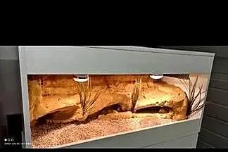 Okazja terrarium dla agamy gekona żółwia węża kameleona legwana boa pająka