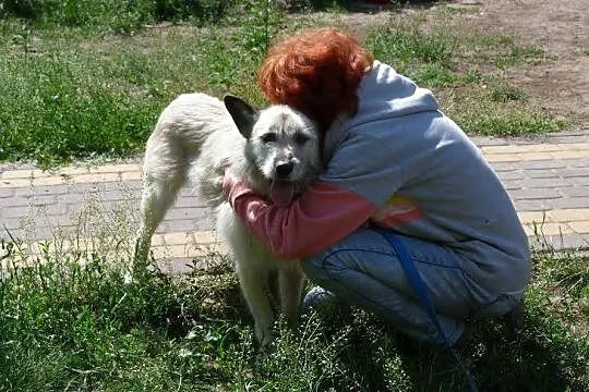 Kto odmieni smutne życie Iwana? On czeka!