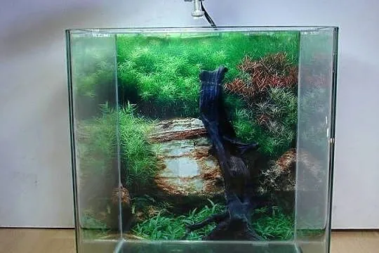 Akwarium 30L z oświetleniem LED