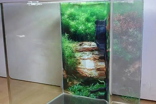 Akwarium 30L z oświetleniem LED, Lubuskie, Zielona Góra