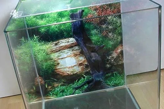 Akwarium 30L z oświetleniem LED, Lubuskie, Zielona Góra