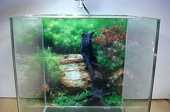 Akwarium 30L z oświetleniem LED, Lubuskie, Zielona Góra