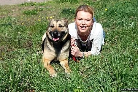 Kenia- przesympatyczna sunia, mazowieckie Nowy Dwór Mazowiecki