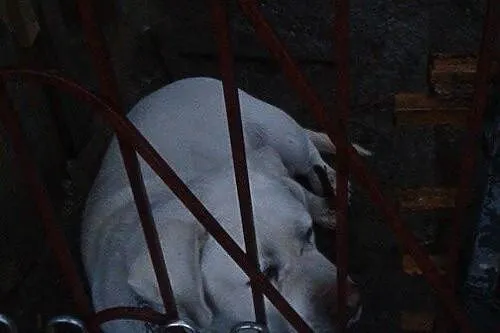 Gruby - z dnia na dzień gaśnie w oczach :(
