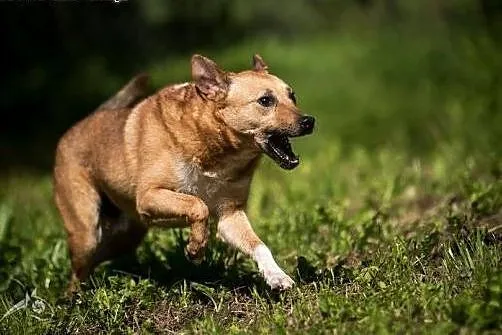Mario ...poleca się do bezgranicznej miłości :),  
