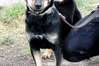 PYCHOTKA-kochana,bardzo przyjazna,miła i wesoła mł
