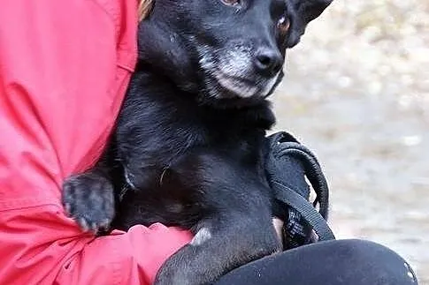 Maleńka Bunia szuka swojego miejsca na ziemi. Adop