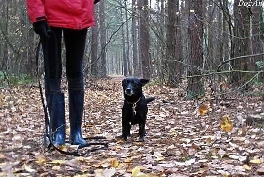 Maleńka Bunia szuka swojego miejsca na ziemi. Adop