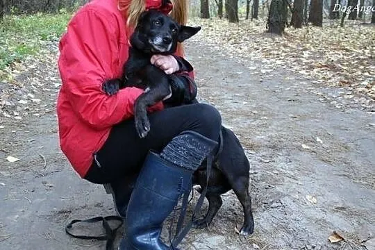 Maleńka Bunia szuka swojego miejsca na ziemi. Adop